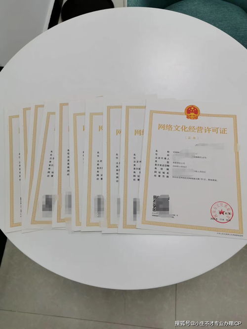 辦理網(wǎng)絡(luò)文化經(jīng)營(yíng)許可證的費(fèi)用構(gòu)成與申請(qǐng)流程詳解